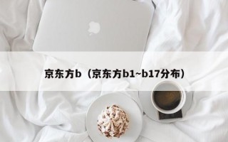 京东方b（京东方b1～b17分布）