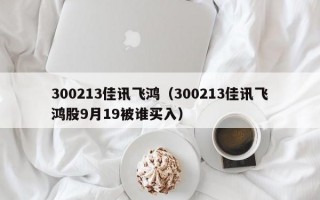 300213佳讯飞鸿（300213佳讯飞鸿股9月19被谁买入）