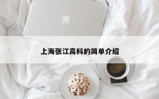 上海张江高科的简单介绍