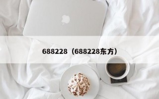 688228（688228东方）