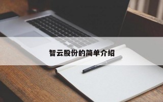 智云股份的简单介绍