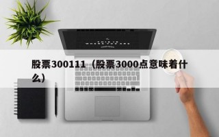 股票300111（股票3000点意味着什么）