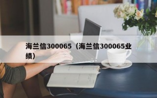 海兰信300065（海兰信300065业绩）