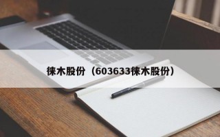 徕木股份（603633徕木股份）